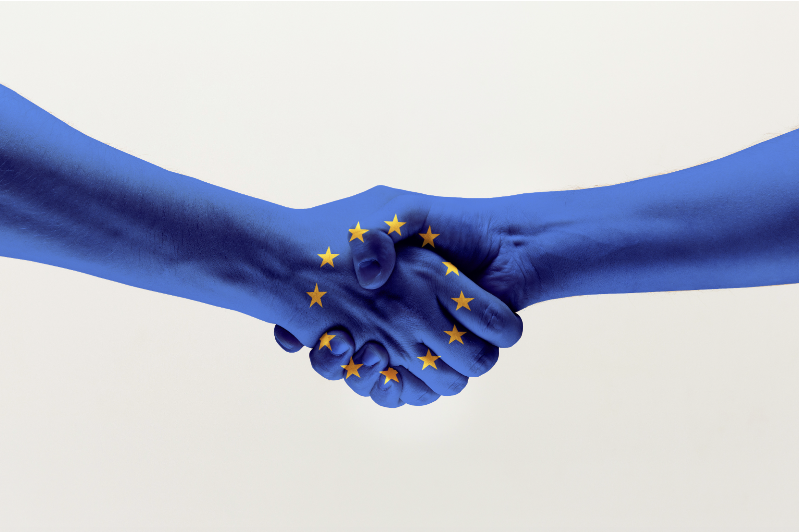 Dichiarazione ufficiale dell’AME: Pensare e agire per i valori umanistici europei